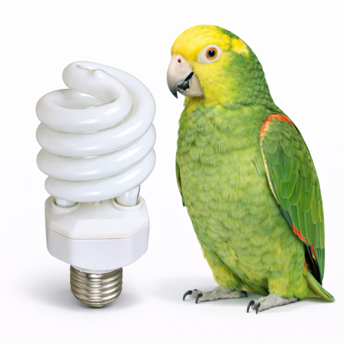 UVB žárovka pro papoušky 23 W od ParrotPlanet.cz