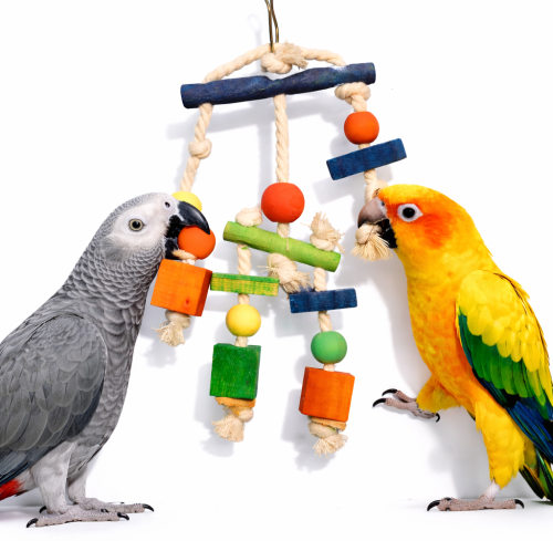 Kostky a provázky – hračka pro všechny papoušky  od ParrotPlanet.cz