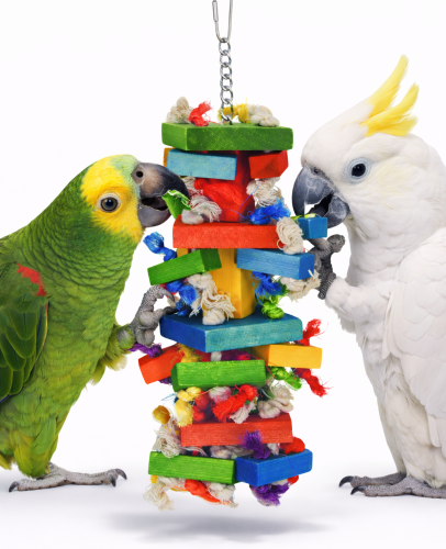 Smash Me ! – Hračka pro papoušky s uzly a barevnými kostkami   od ParrotPlanet.cz