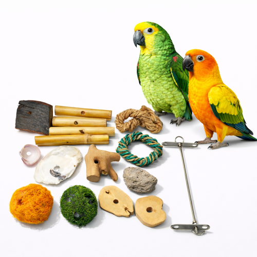 DIY SET – pro vlastní výrobu hračky | pro všechny papoušky od ParrotPlanet.cz