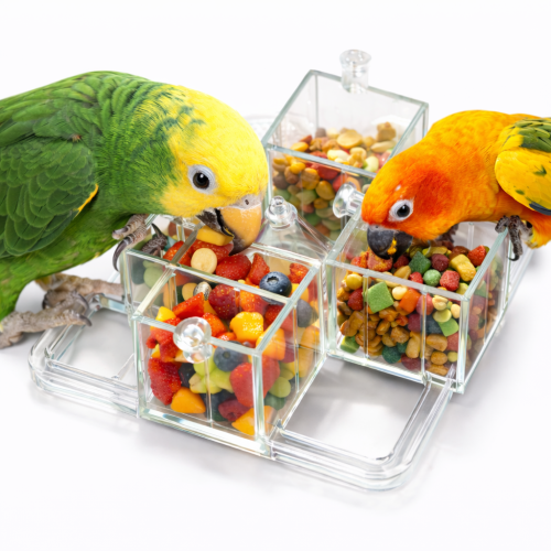 Čtyřnásobná miska  – hračka a miska na krmení pro papoušky od ParrotPlanet.cz