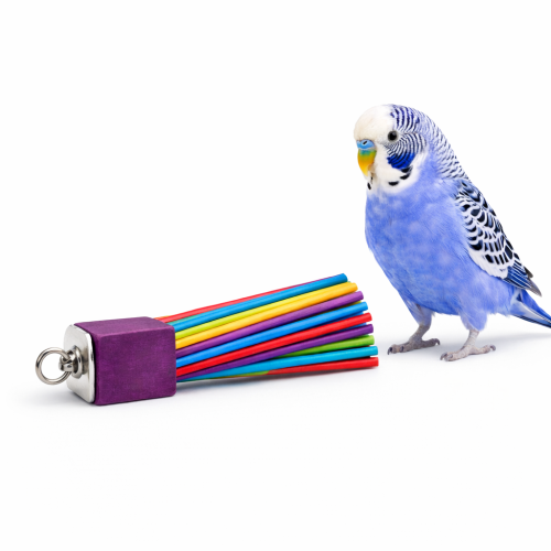 Mini tyčinka – hračka a tyčinka pro každého papouška od ParrotPlanet.cz