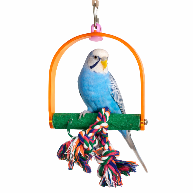 Mini Swing | Houpací síť 3v1 pro malé papoušky od ParrotPlanet.cz