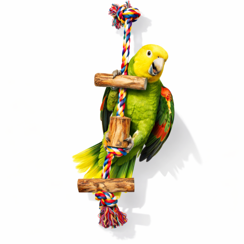 Mega Fun – houpačka a hračka pro všechny papoušky od ParrotPlanet.cz