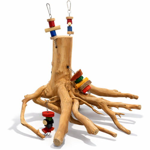 Kořen Java – Nezničitelná přírodní houpačka pro papoušky  od ParrotPlanet.cz