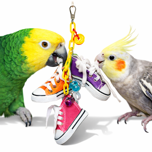 Trojitý Trampek – Kultovní hračka pro všechny papoušky  od ParrotPlanet.cz