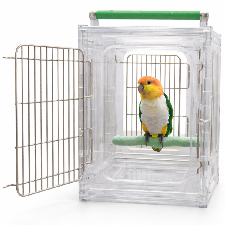 Akrylová přepravka M – pro malé a střední papoušky  od ParrotPlanet.cz