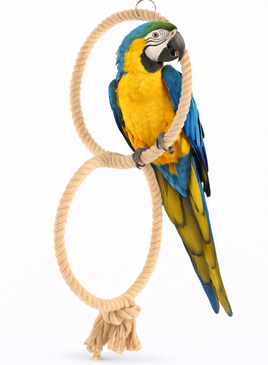 Planeta Papoušků II – Houpací síť pro větší a střední papoušky od ParrotPlanet.cz