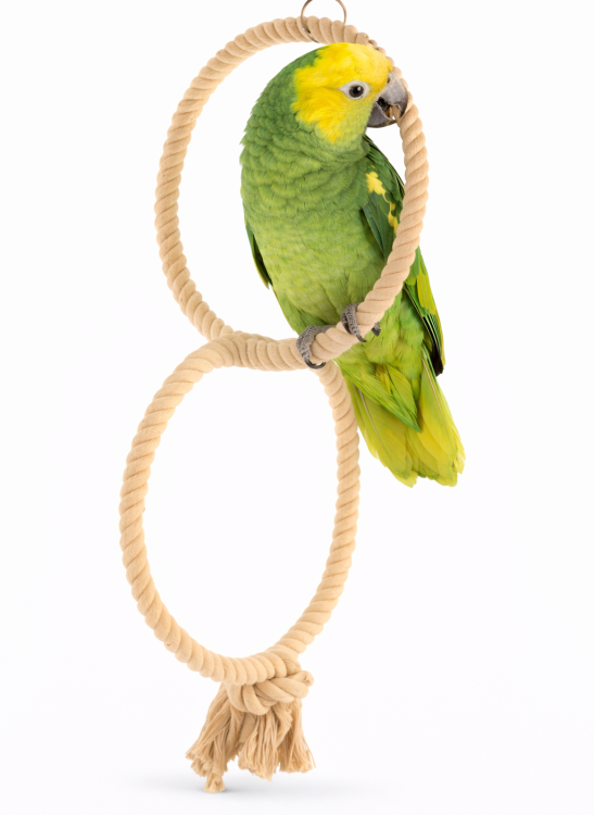 Planeta Papoušků II – Houpací síť pro větší a střední papoušky od ParrotPlanet.cz
