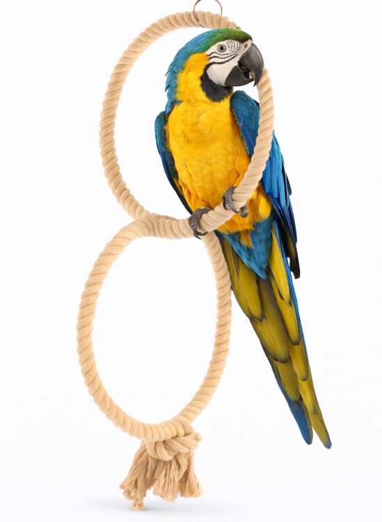 Planeta Papoušků II – Houpací síť pro větší a střední papoušky od ParrotPlanet.cz