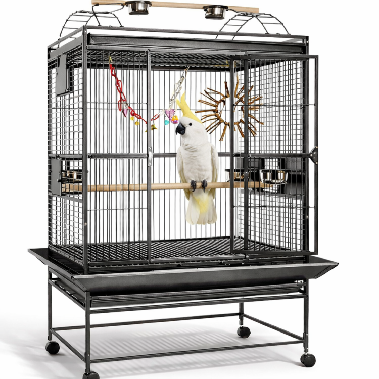 Finca Gym Top III – klec pro papoušky od ParrotPlanet.cz