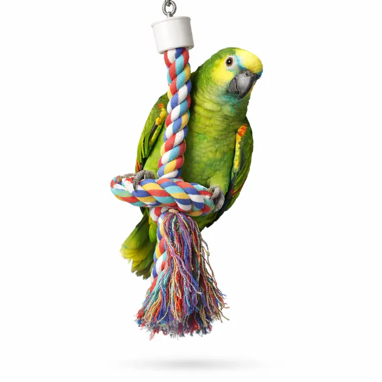 Zakręcený Zig Zag L – pro velké papoušky  od ParrotPlanet.cz