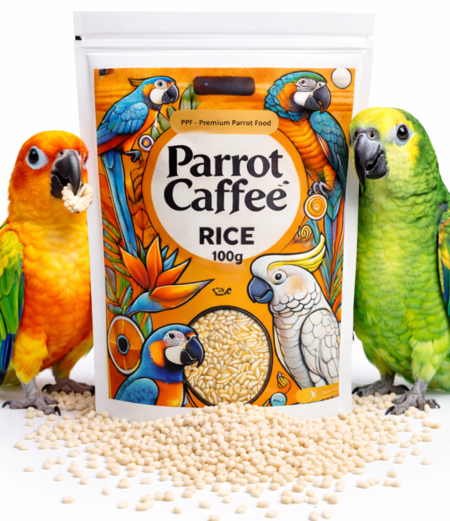 PARROT CAFFEE - Rice -  pro všechny papoušky 100 g od ParrotPlanet.cz