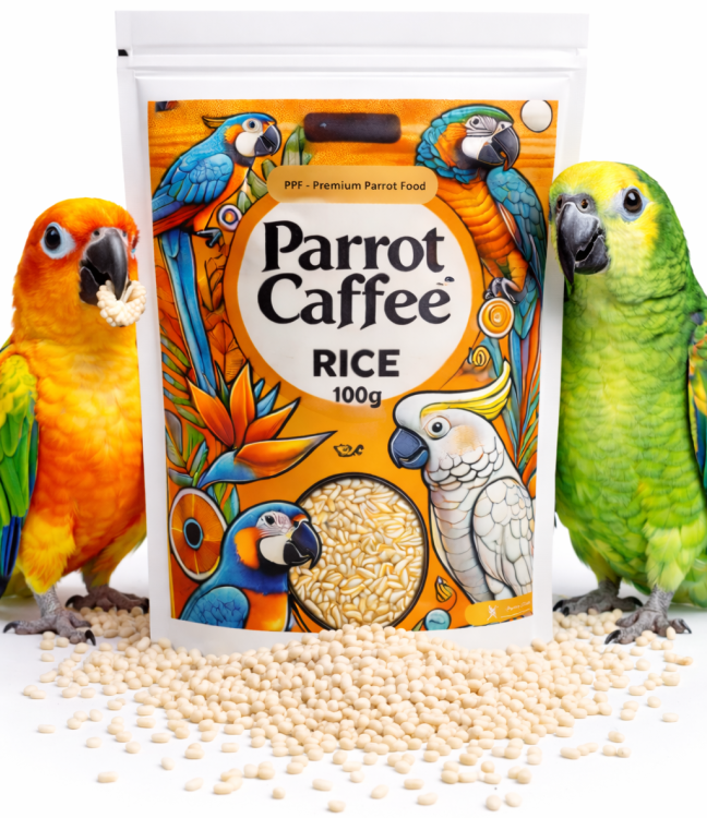PARROT CAFFEE - Rice -  pro všechny papoušky 100 g od ParrotPlanet.cz