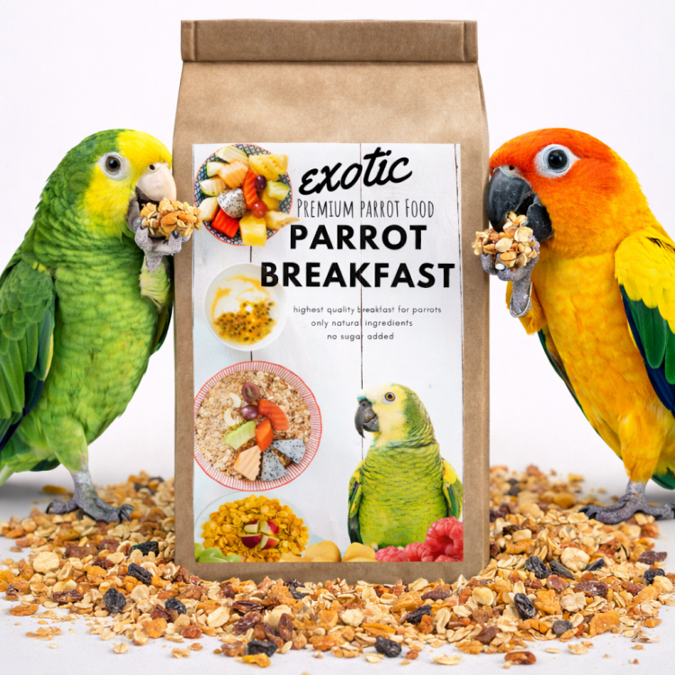 HOT EXOTIC Parrot Breakfast | Papouščí snídaně nebo oběd | Teplé krmivo pro papoušky 150 g od ParrotPlanet.cz