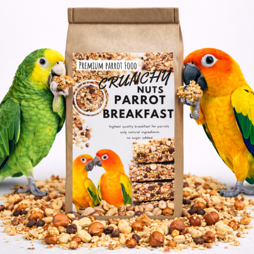 Crunchy Nuts Parrot Breakfast | Papouščí snídaně nebo oběd | Krmivo pro papoušky na teplé nebo studené podávání 100 g od ParrotPlanet.cz