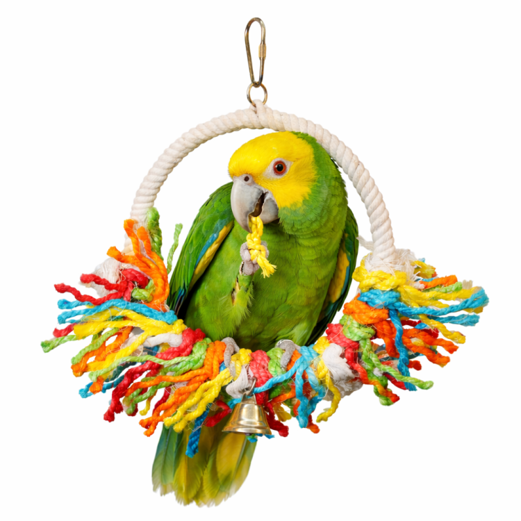 Bavlněný barevný obruč M\L | Houpačka pro papoušky | Čistá bavlna od ParrotPlanet.cz