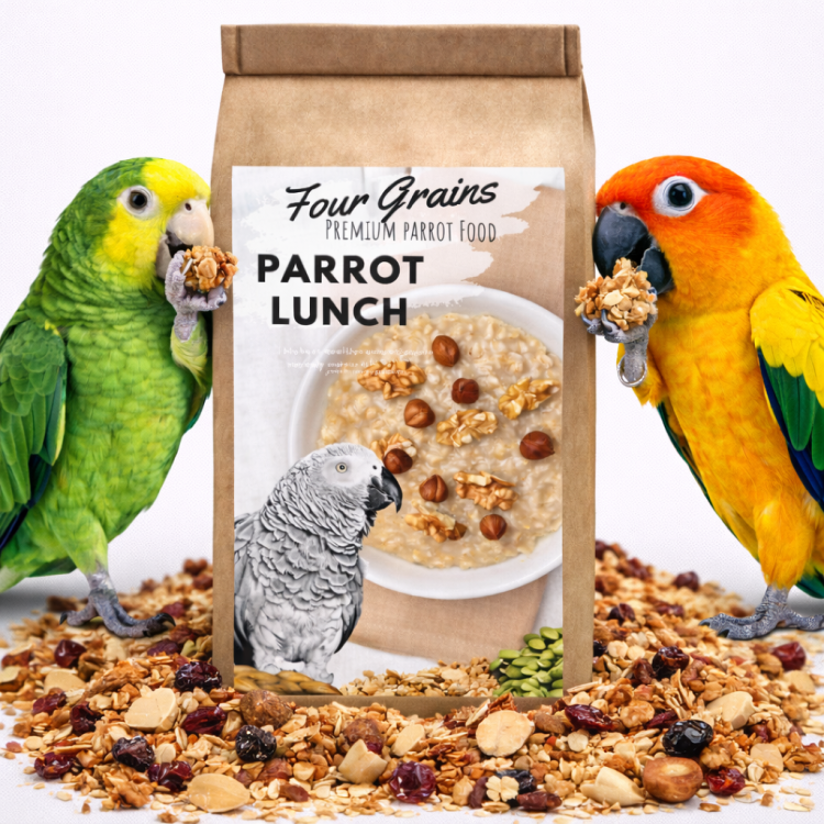 Four Grains Parrot Breakfast | Papouščí snídaně nebo oběd | Krmivo pro papoušky, teplé nebo studené 100 g od ParrotPlanet.cz