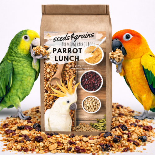 Seeds &amp;amp; Grains Parrot Lunch | Obědové nebo snídaňové jídlo pro papoušky | Rychlé, zdravé a chutné | Teplé nebo studené od ParrotPlanet.cz