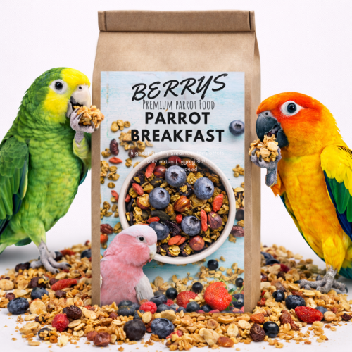 HOT Berry Parrot Breakfast | Papouščí snídaně nebo oběd | Teplé krmivo pro papoušky 150 g od ParrotPlanet.cz