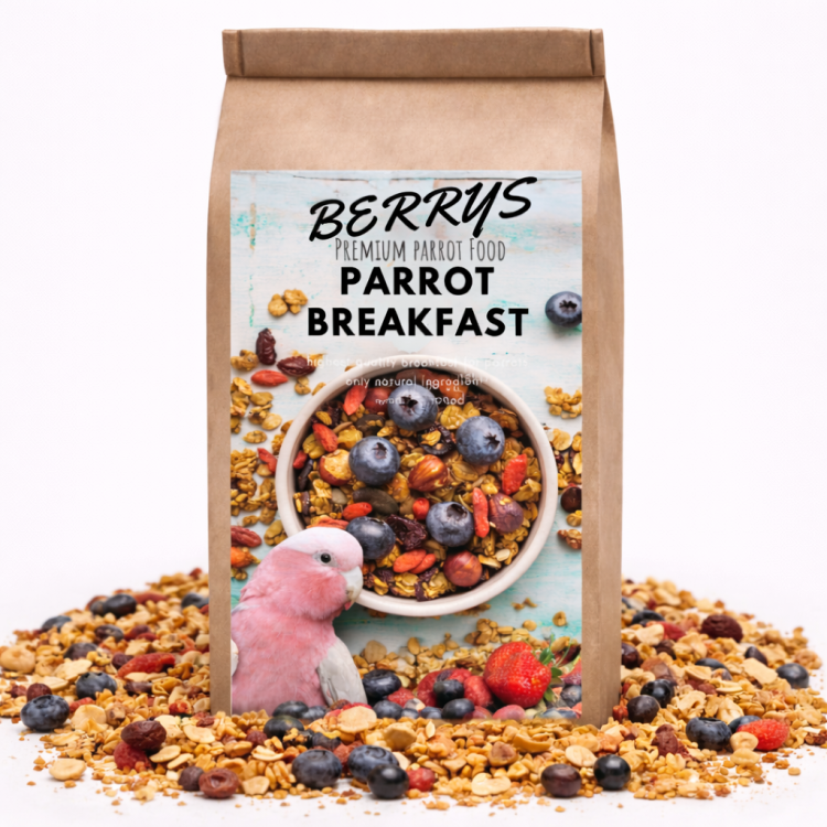HOT Berry Parrot Breakfast | Papouščí snídaně nebo oběd | Teplé krmivo pro papoušky 150 g od ParrotPlanet.cz