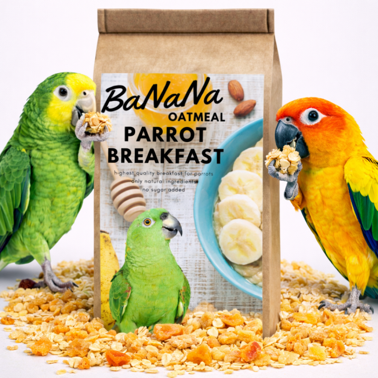 HOT BaNaNa OAT Parrot Breakfast | Papuzia Owsianka | Snídaňové nebo obědové jídlo | Teplé krmivo pro papoušky 50 g od ParrotPalnet.cz