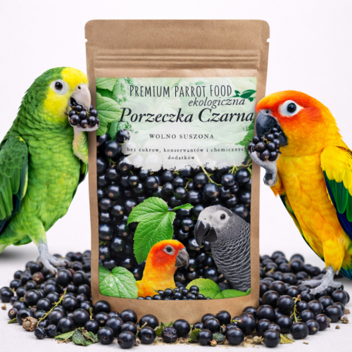 Premium Parrot Food - Ekologická černá rybíz - pro všechny papoušky 100 g od ParrotPlanet.cz