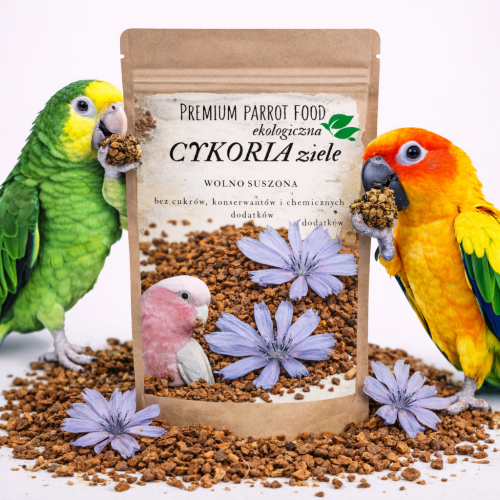 Premium Parrot Food – Ekologická čekanka – pro všechny papoušky 50 g  od ParrotPlanet.cz