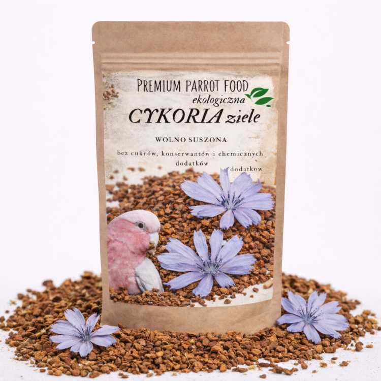 Premium Parrot Food – Ekologická čekanka – pro všechny papoušky 50 g  od ParrotPlanet.cz