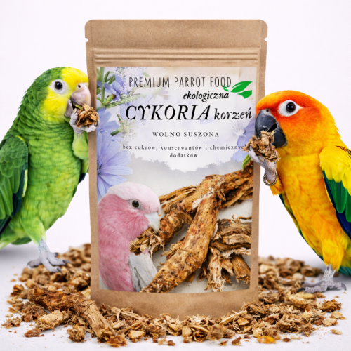 Premium Parrot Food | Ekologická kořenová čekanky |Doplněk stravy pro všechny papoušky 50 g  od ParrotPlanet.cz