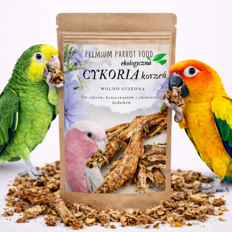 Premium Parrot Food | Ekologická kořenová čekanky |Doplněk stravy pro všechny papoušky 50 g  od ParrotPlanet.cz