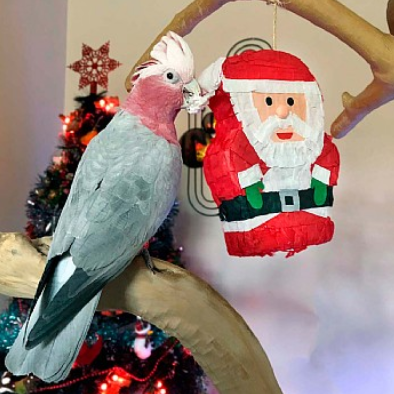 Santa Claus velký – hračka Vánoční dárek s lahodným obsahem od ParrotPlanet.cz