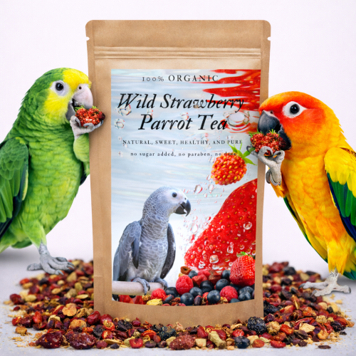 Wild Strawberry Parrot Tea – organický čaj pro papoušky s příchutí lesních jahod 100 g od ParrotPlanet.cz