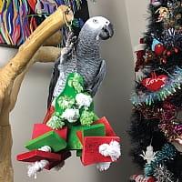 Vánoční stromeček velký – zelená vánoční hračka pro papoušky od ParrotPlanet.cz