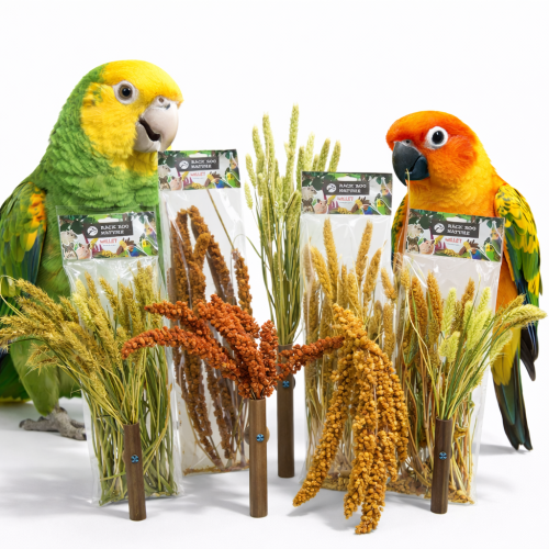 Sada 6 kusů za cenu 5 kusů – přírodní křupavé kytice pro všechny papoušky.cz