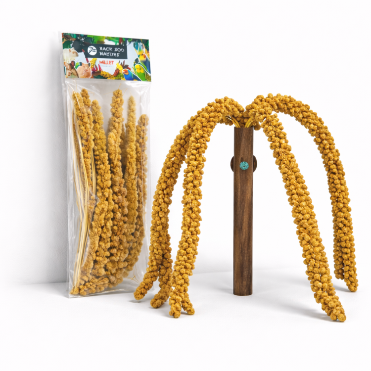 Žluté proso v kytici od Back Zoo Nature | Kytice žlutého prosa v klasech | Lahůdka pro všechny papoušky 150 g od ParrotPlanet.cz