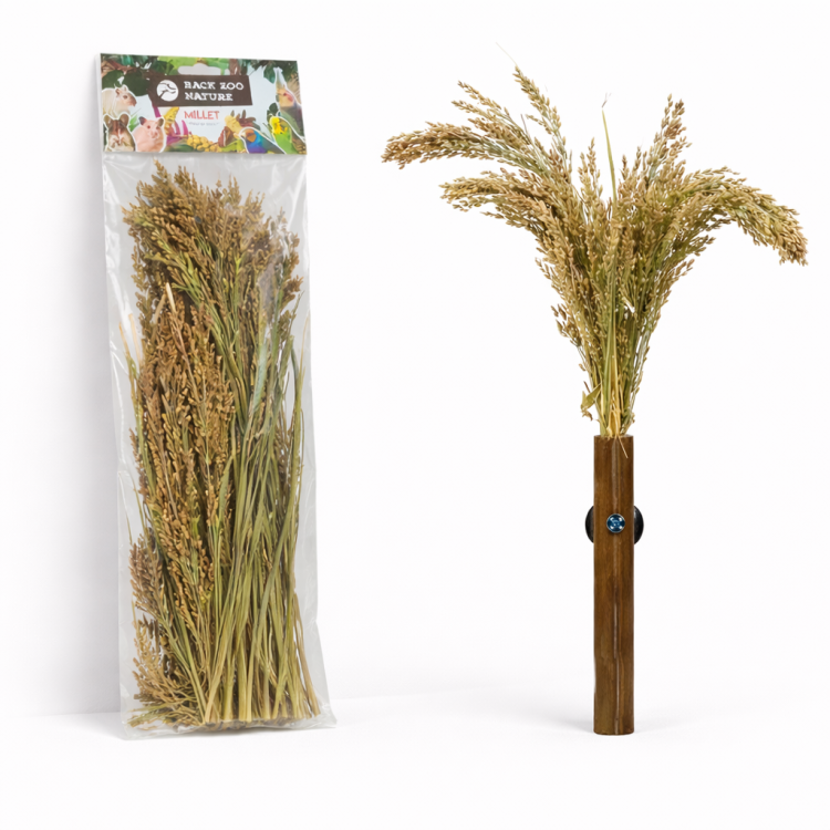 Panicum v buketu od Back Zoo Nature - | Buket prosa | pro všechny papoušky 40 g  od ParrotPlanet.cz