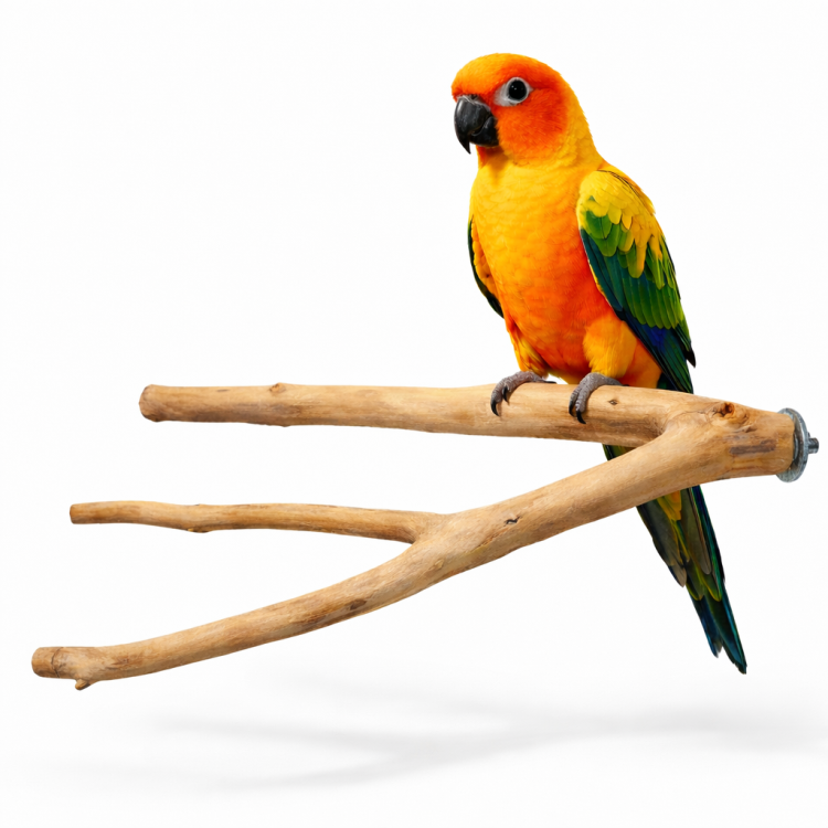 Trojitá tyč S – pro malé a střední papoušky od ParrotPlanet.cz