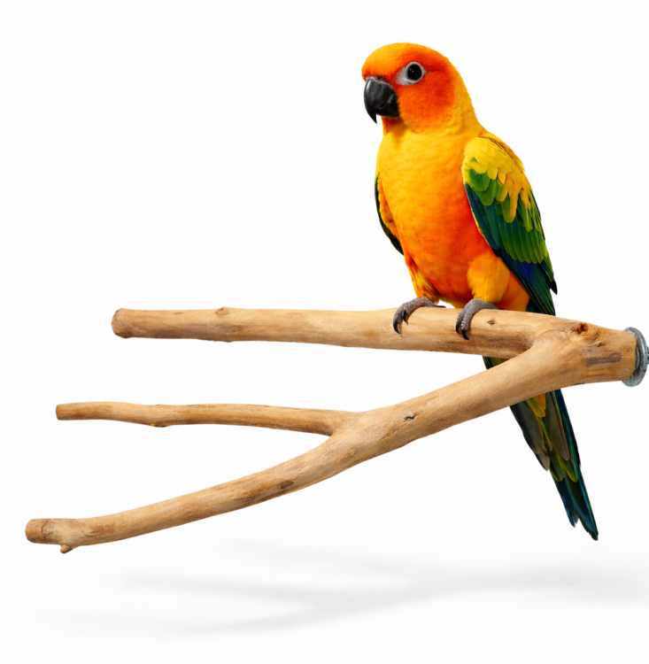 Trojitá tyč S – pro malé a střední papoušky od ParrotPlanet.cz