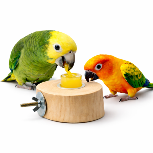 Držák – stolík JAVA pro papoušky na želé a jiné pamlsky  od parrotPlanet.cz