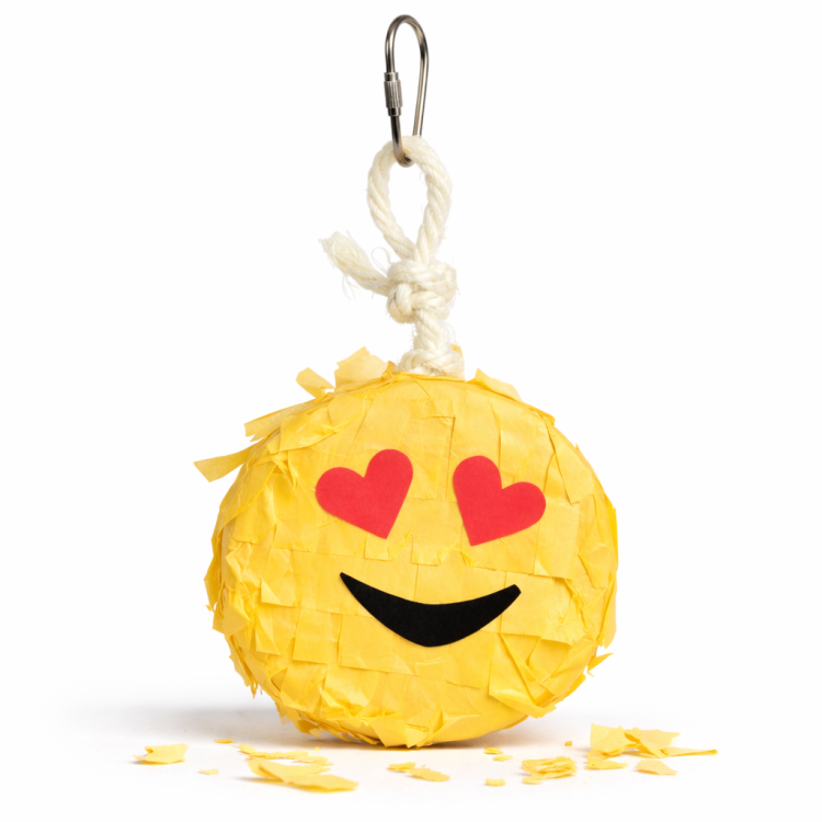 Dr. Smile ! | Úžasná veselá hračka | Emotka Piniata | pro všechny papoušky od ParrotPlanet.cz
