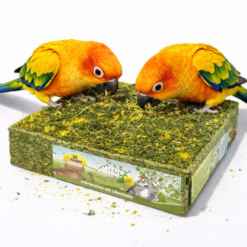 JR Farm | Louka k zobání s pampeliškou, jitrocelem a lučními bylinami pro papoušky 550 g od ParrotPlanet.cz