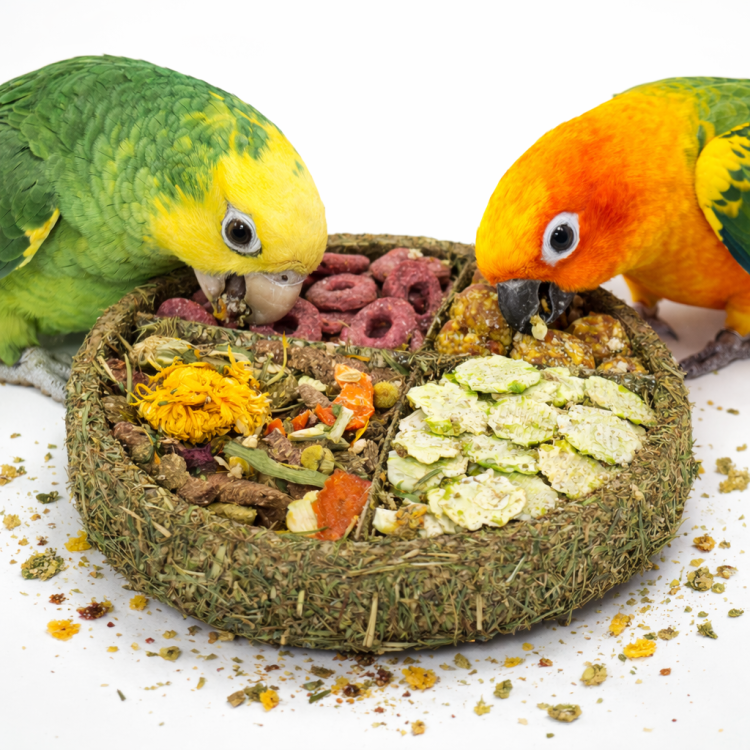 JR FARM Gourmet talíř k zobání se zeleninou, bylinkami a hrachem pro papoušky 100 g od ParrotPlanet.cz