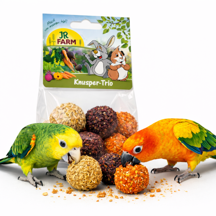 JR FARM Knusper Trio k zobání s vojtěškou, mrkví a červenou řepou pro papoušky 75 g od ParrotPlanet.cz