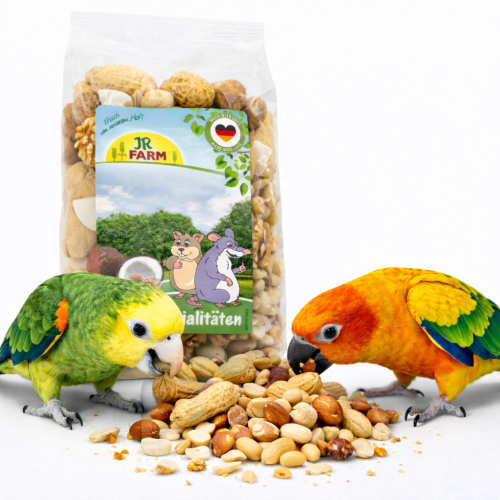 JR FARM Ořechový mix k zobání s arašídy, vlašskými a lískovými ořechy a kokosem pro papoušky 200 g od ParrotPlanet.cz