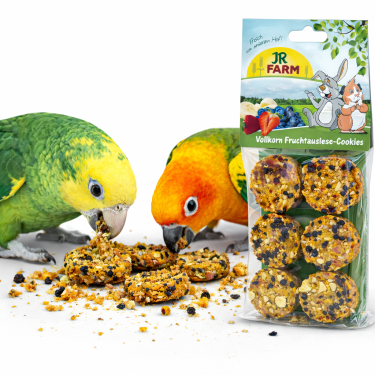 JR FARM Ovocné celozrnné sušenky s mrkví, lněným semínkem a ovocem pro papoušky 120 g od ParrotPlanet.cz