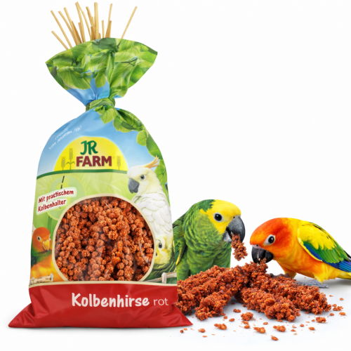 JR FARM Spray Millet red – červené proso v klasech 250 g  od ParrotPlanet.cz