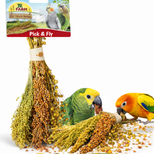 JR FARM Pick &amp;amp; Fly – kytice pamlsků v klasech k chroupání pro všechny papoušky 130 g od ParrotPlanet.cz