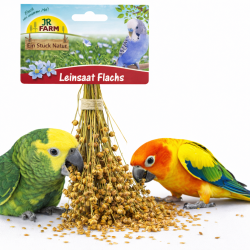 JR FARM Len v klasech k chroupání pro všechny papoušky 30 g od ParrotPlanet.cz