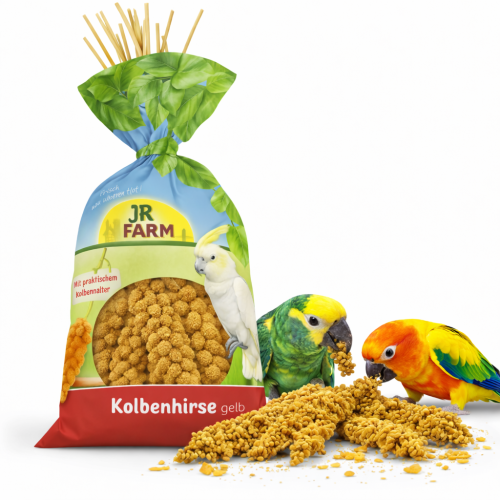 JR FARM Spray Millet Yellow – žluté proso v klasech 500 g od ParrotPlanet.cz